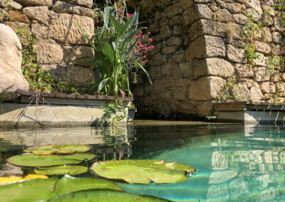 Piscine-Nid-des-Anges